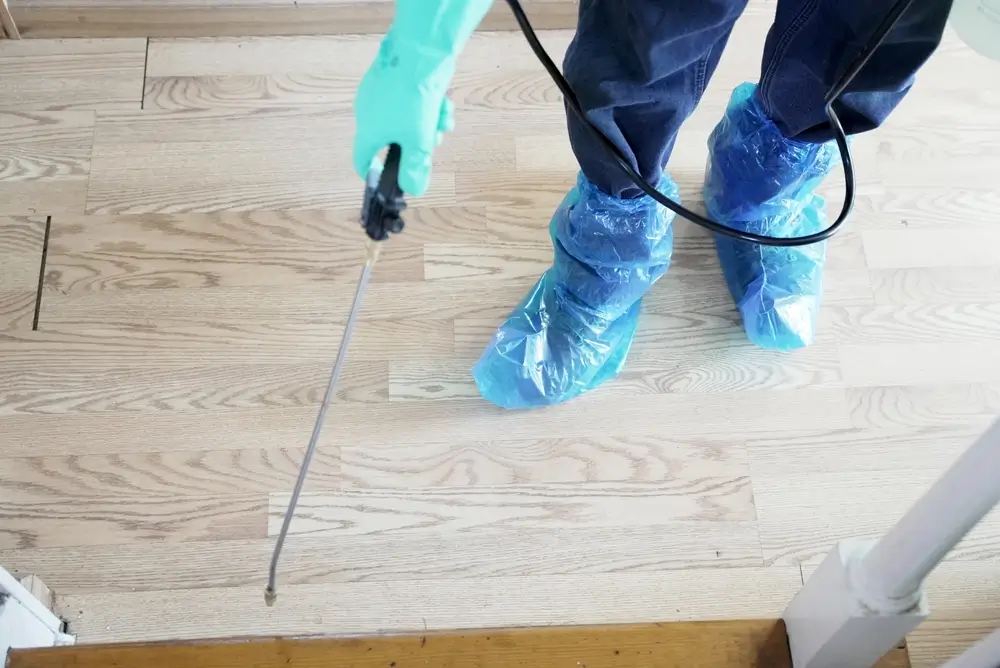 Technicien professionnel en lutte antiparasitaire traitant les espaces intérieurs pour prévenir les infestations.